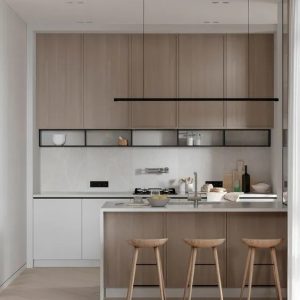 Dry Kitchen 干厨设计 1 Evostudio 来自小红书网页版